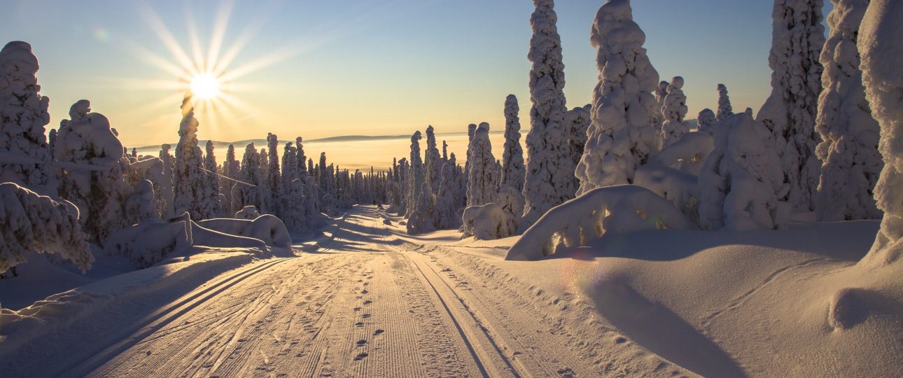 Top 10 things to do in Lapland